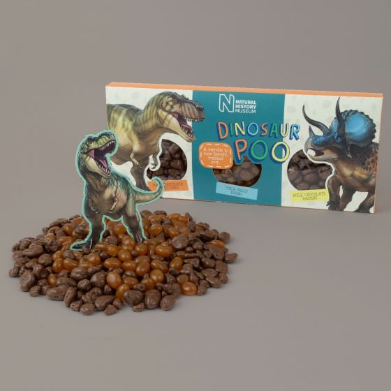 Dinosaur Poo