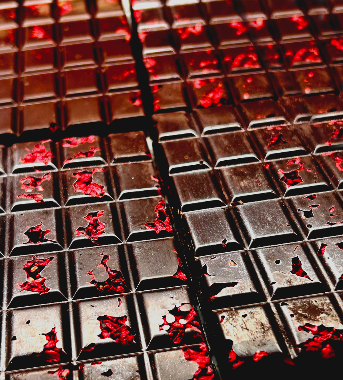 Dark Chocolate Raspberry Bar