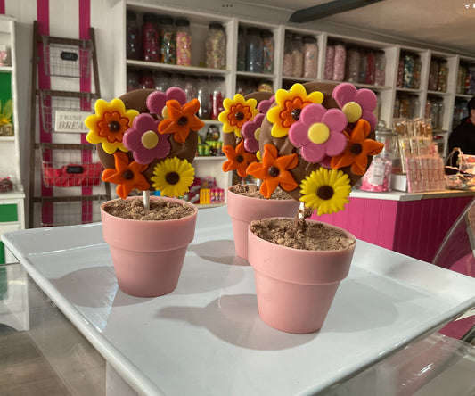 Flower Pot