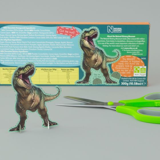 Dinosaur Poo