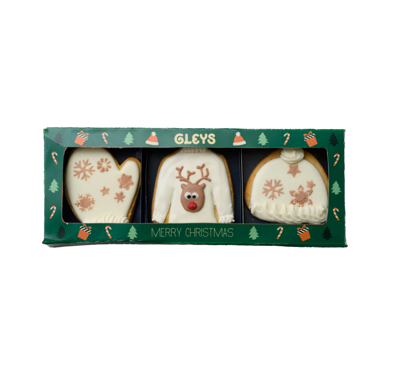 Cosy Gingerbread Iced Biscuits