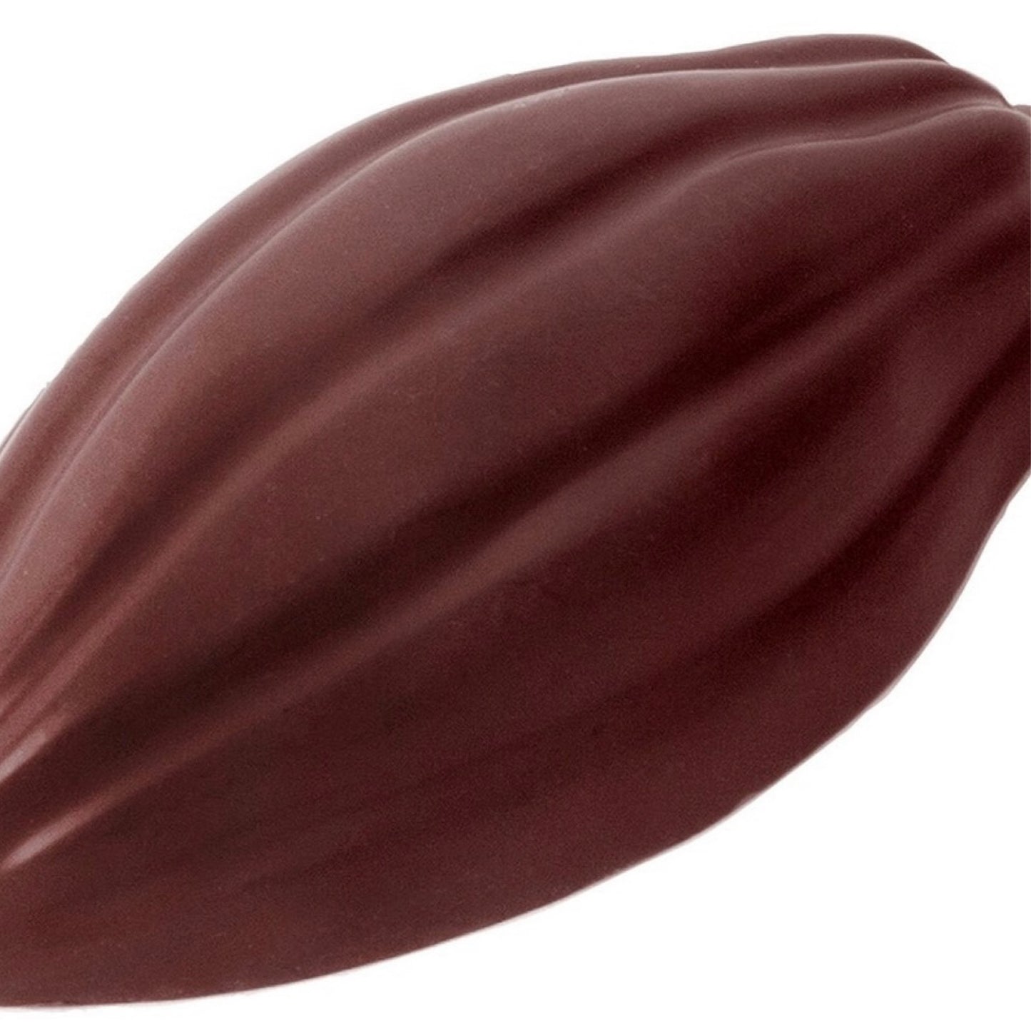 Cocoa Pod - Ganache Filled